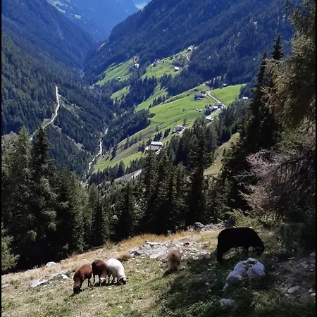 Lejlighed Sagritzer Alpenhaeusl