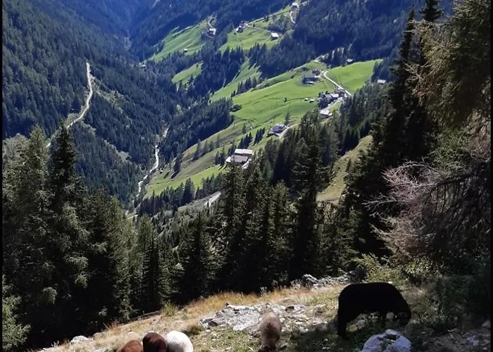 Apartament Sagritzer Alpenhaeusl